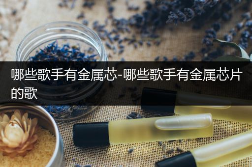 哪些歌手有金属芯-哪些歌手有金属芯片的歌