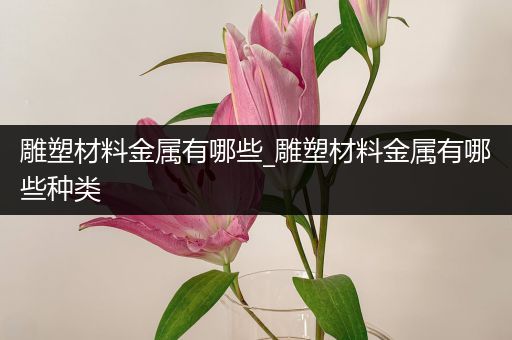 雕塑材料金属有哪些_雕塑材料金属有哪些种类
