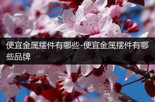 便宜金属摆件有哪些-便宜金属摆件有哪些品牌