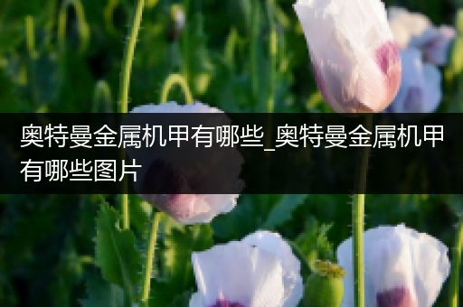 奥特曼金属机甲有哪些_奥特曼金属机甲有哪些图片