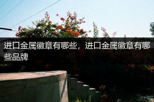 进口金属徽章有哪些，进口金属徽章有哪些品牌