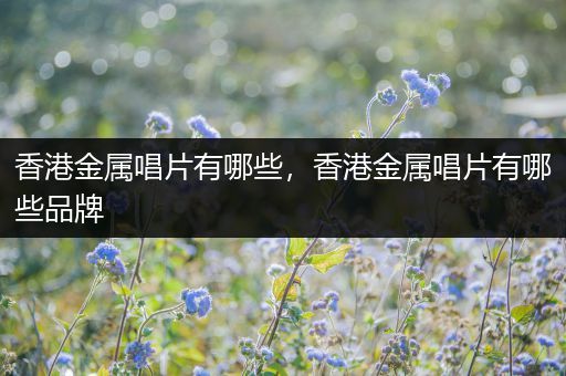 香港金属唱片有哪些，香港金属唱片有哪些品牌