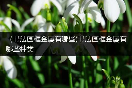 （书法画框金属有哪些)书法画框金属有哪些种类