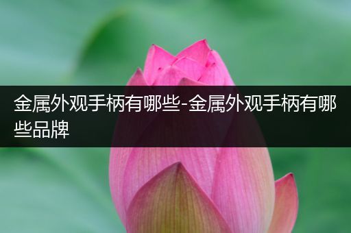 金属外观手柄有哪些-金属外观手柄有哪些品牌