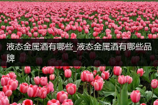 液态金属酒有哪些_液态金属酒有哪些品牌
