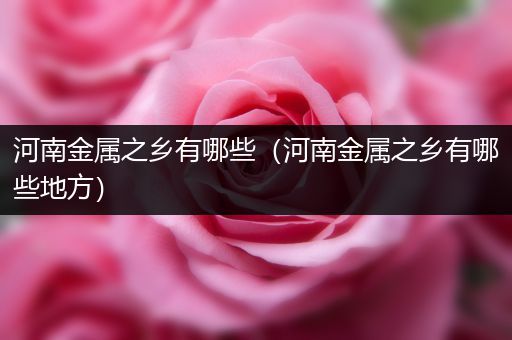 河南金属之乡有哪些（河南金属之乡有哪些地方）