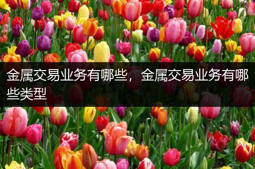 金属交易业务有哪些，金属交易业务有哪些类型