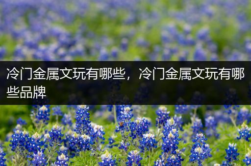 冷门金属文玩有哪些，冷门金属文玩有哪些品牌