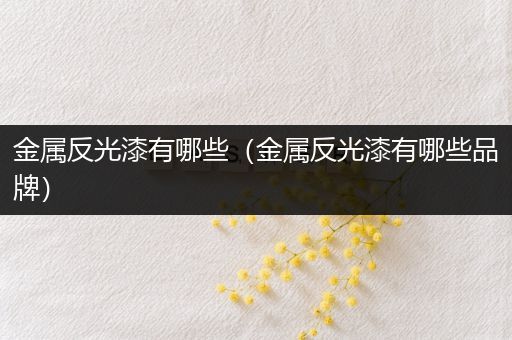 金属反光漆有哪些（金属反光漆有哪些品牌）