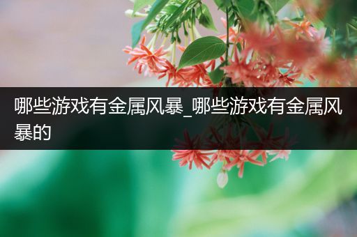哪些游戏有金属风暴_哪些游戏有金属风暴的