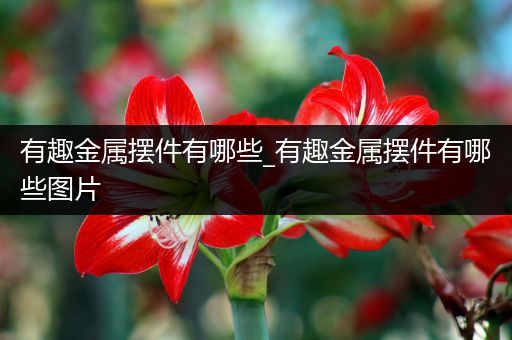 有趣金属摆件有哪些_有趣金属摆件有哪些图片