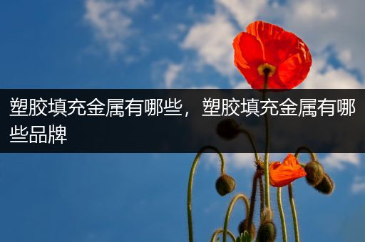 塑胶填充金属有哪些，塑胶填充金属有哪些品牌