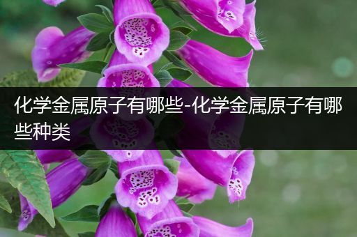 化学金属原子有哪些-化学金属原子有哪些种类