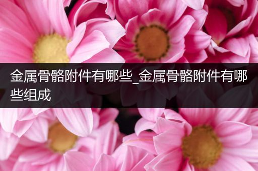 金属骨骼附件有哪些_金属骨骼附件有哪些组成