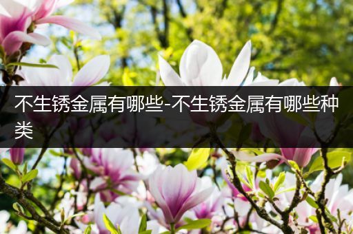 不生锈金属有哪些-不生锈金属有哪些种类