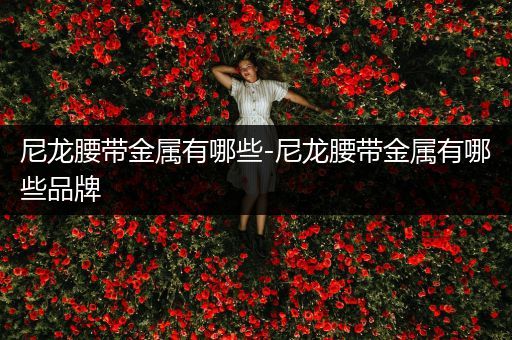 尼龙腰带金属有哪些-尼龙腰带金属有哪些品牌