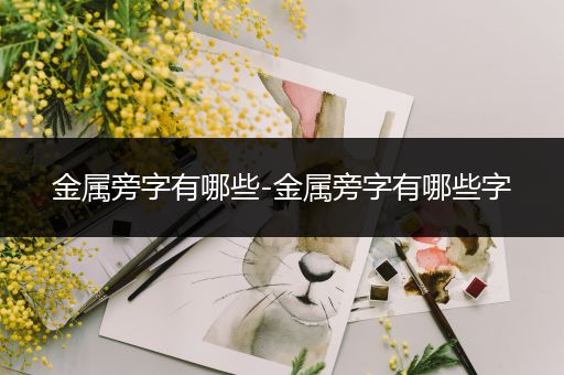 金属旁字有哪些-金属旁字有哪些字