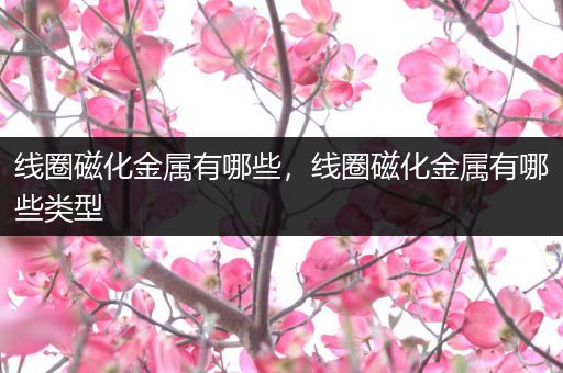 线圈磁化金属有哪些，线圈磁化金属有哪些类型