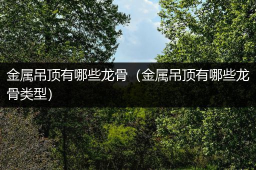 金属吊顶有哪些龙骨（金属吊顶有哪些龙骨类型）