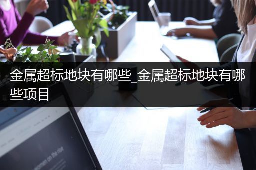 金属超标地块有哪些_金属超标地块有哪些项目