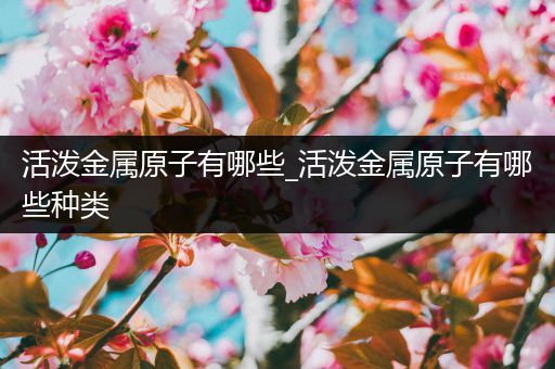 活泼金属原子有哪些_活泼金属原子有哪些种类