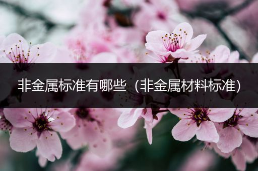 非金属标准有哪些（非金属材料标准）