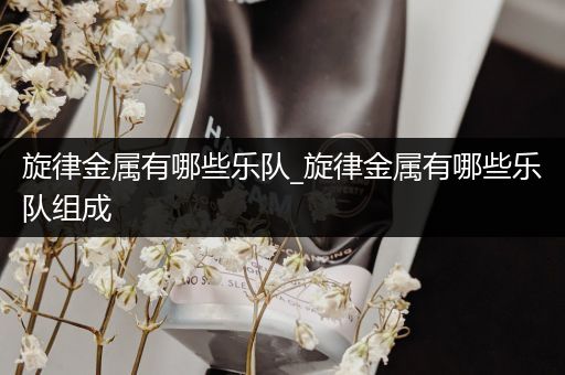 旋律金属有哪些乐队_旋律金属有哪些乐队组成