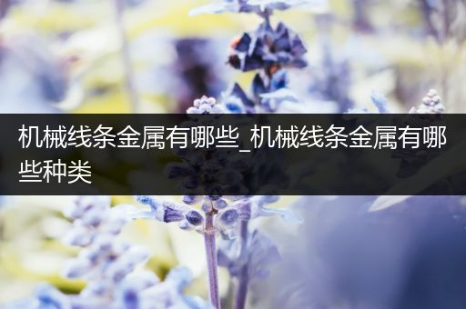 机械线条金属有哪些_机械线条金属有哪些种类