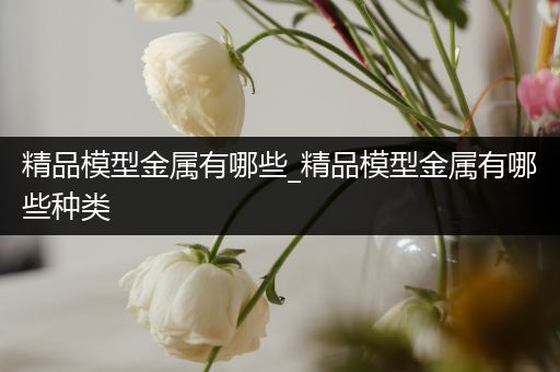 精品模型金属有哪些_精品模型金属有哪些种类