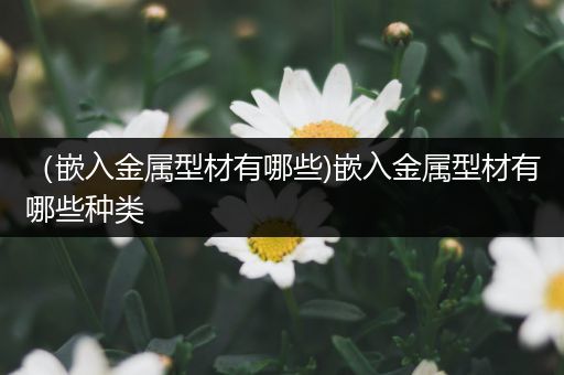 （嵌入金属型材有哪些)嵌入金属型材有哪些种类