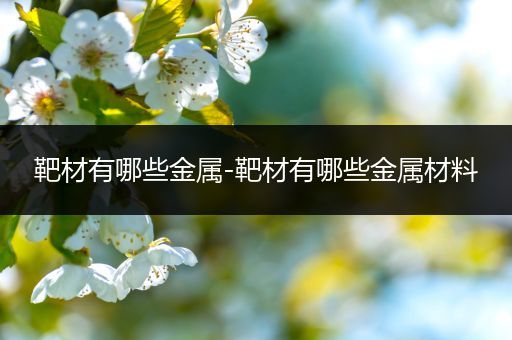 靶材有哪些金属-靶材有哪些金属材料