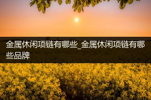 金属休闲项链有哪些_金属休闲项链有哪些品牌