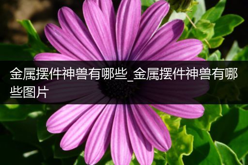 金属摆件神兽有哪些_金属摆件神兽有哪些图片