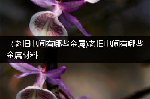 （老旧电闸有哪些金属)老旧电闸有哪些金属材料