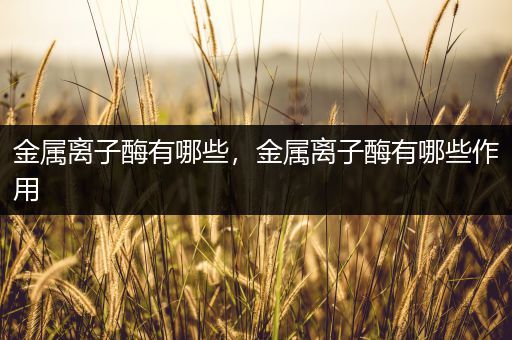 金属离子酶有哪些，金属离子酶有哪些作用