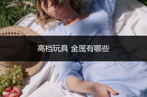 高档玩具 金属有哪些