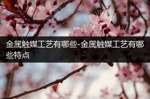 金属触媒工艺有哪些-金属触媒工艺有哪些特点