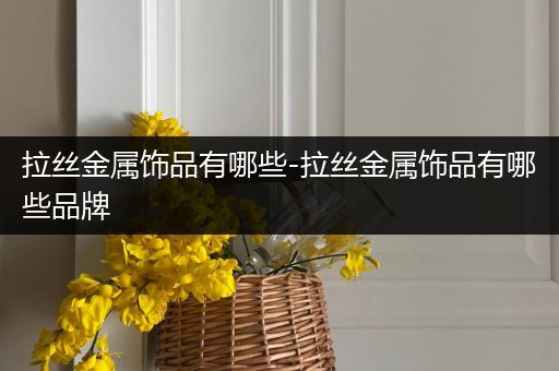 拉丝金属饰品有哪些-拉丝金属饰品有哪些品牌