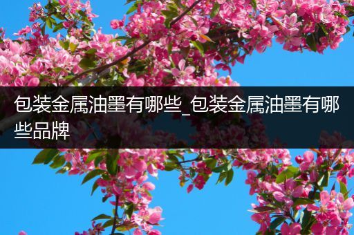 包装金属油墨有哪些_包装金属油墨有哪些品牌