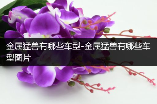 金属猛兽有哪些车型-金属猛兽有哪些车型图片
