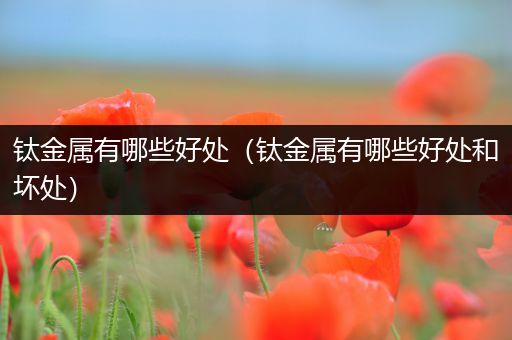 钛金属有哪些好处（钛金属有哪些好处和坏处）