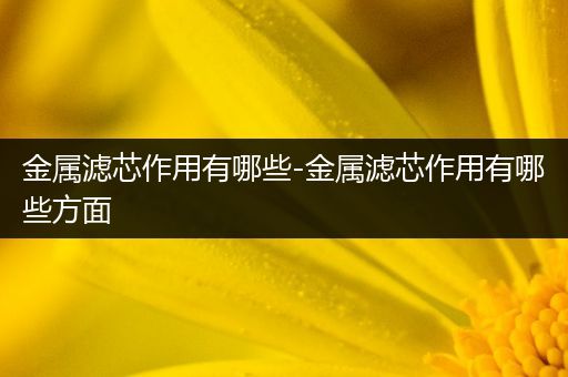 金属滤芯作用有哪些-金属滤芯作用有哪些方面