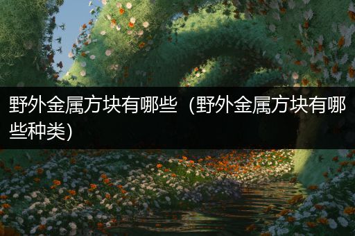 野外金属方块有哪些（野外金属方块有哪些种类）