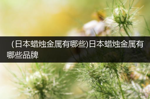 （日本蜡烛金属有哪些)日本蜡烛金属有哪些品牌