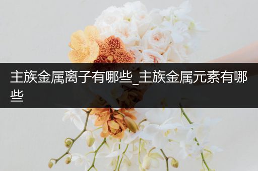 主族金属离子有哪些_主族金属元素有哪些
