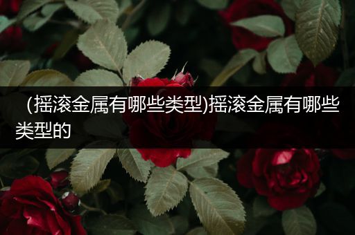 （摇滚金属有哪些类型)摇滚金属有哪些类型的