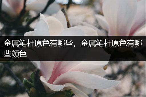 金属笔杆原色有哪些，金属笔杆原色有哪些颜色