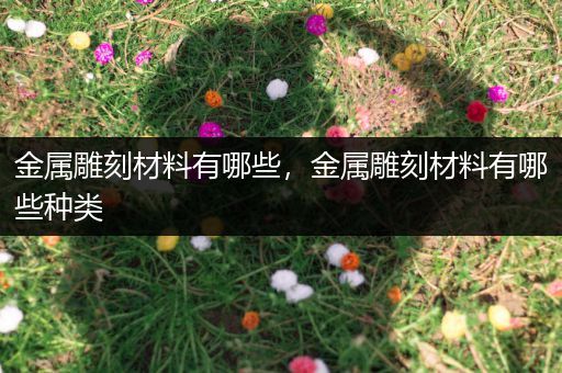 金属雕刻材料有哪些，金属雕刻材料有哪些种类