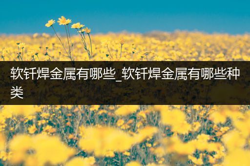 软钎焊金属有哪些_软钎焊金属有哪些种类