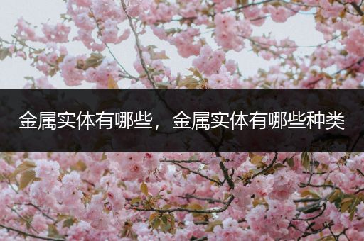 金属实体有哪些，金属实体有哪些种类